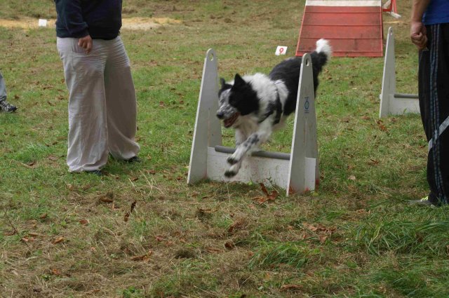 foire-haricots 2011-09-17et18